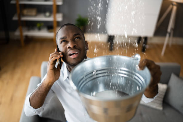 Best Mold removal after water damage  in Moraine, OH