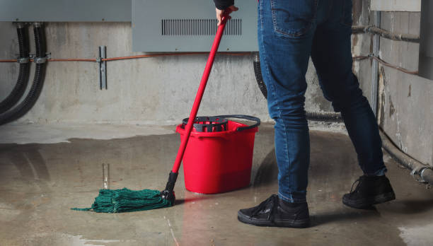 Best 24-hour water damage restoration  in Moraine, OH