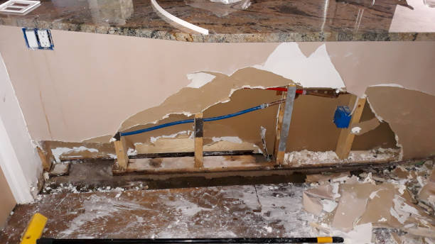 Best Local water damage restoration  in Moraine, OH