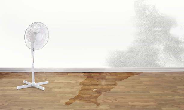Best Water damage repair service  in Moraine, OH