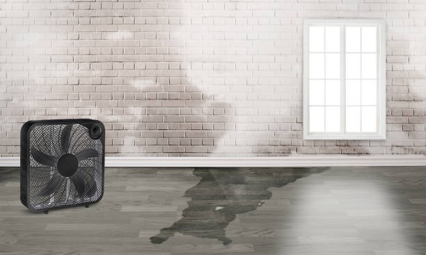 Sewage cleanup and water damage restoration in Moraine, OH