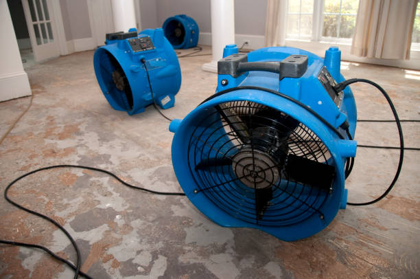 Best Basement water damage restoration  in Moraine, OH