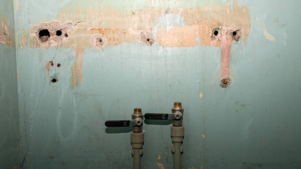 Best Local water damage restoration  in Moraine, OH