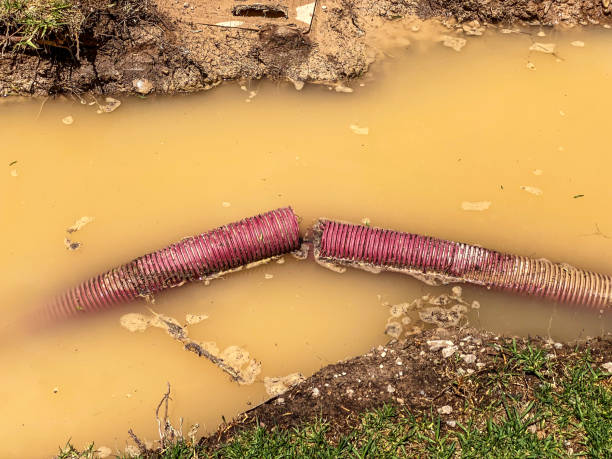 Best Water damage restoration near me  in Moraine, OH