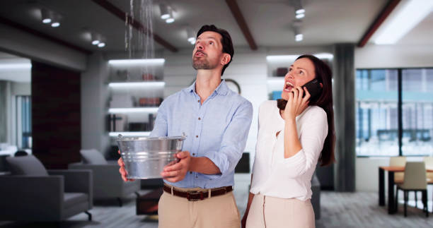 Best Commercial water damage restoration  in Moraine, OH
