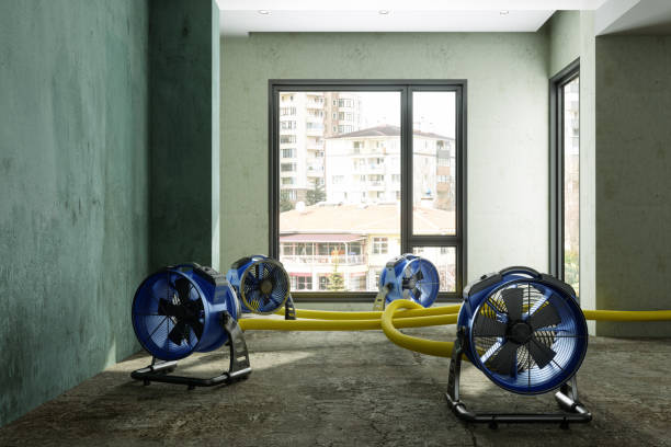 Best Water damage contractors near me  in Moraine, OH